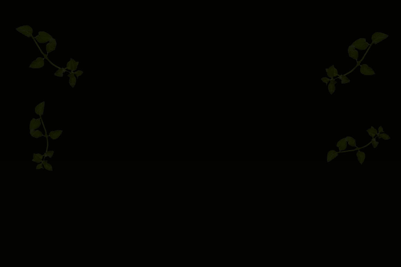 full screen background image